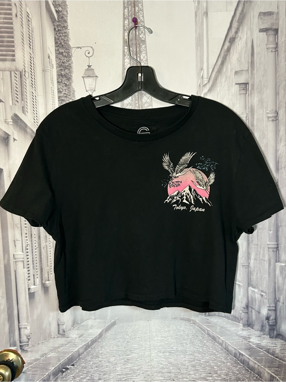 Tokyo Japan Graphic Crop Tee - Black with Pink Accent